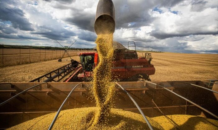 Cresce PIB Agronegócio