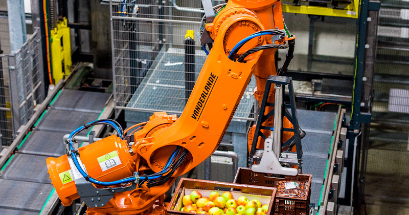 Braço robótico com Inteligência Artificial ordena e coleta produtos como um humano 